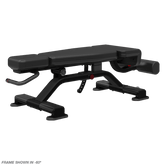 Nautilus Adjustable Decline Bench